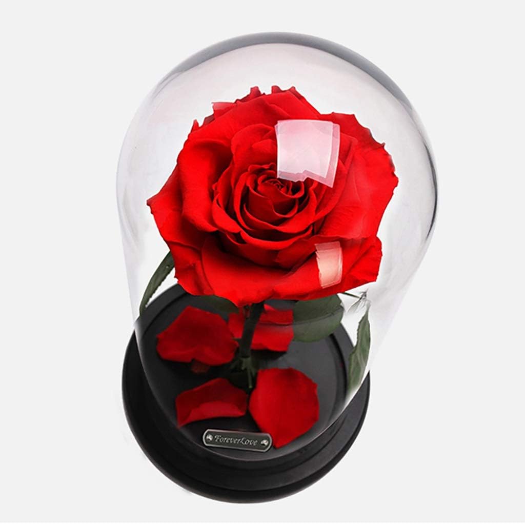 L Preserved Flower Gift Box Glass Cover Eternal Rose Red Handmade on Wooden Base Birthday for Girlfriend and Lover and Night Light String