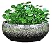 Doniczka doniczka doniczka na kwiaty okrągły duży płytkie glazurowane doniczki na zewnątrz sukulent doniczka bonsai doniczki ogród dekoracyjna ceramiczna doniczka na kwiaty nieporowata odpowiednia do roślin hydroponicznych