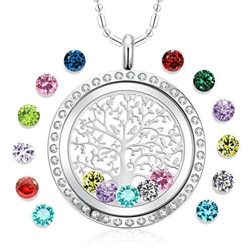 Tree of Life Floating Charm Living Memory Lockets Pendant Necklace Stainless Steel Toughened Glass Gifts for Mom Family (dp-02)