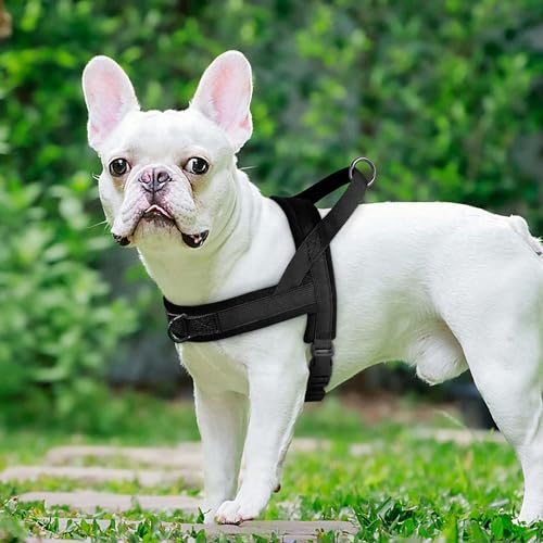 Arnés de perro ajustable y chaleco acolchado para mascotas pequeñas 4