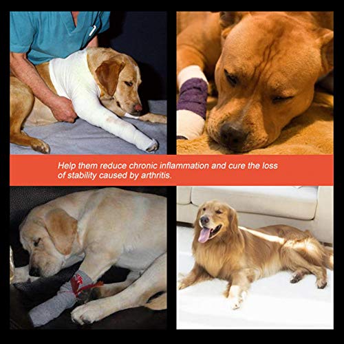 Fictory Kniebandage für Hunde, Hund Vorderbein Gelenkstütze, Hund Sprunggelenk Schutz Bandage, 1 Paar Hunde Vorderbeinstütze Knieschutz Haustier Verband für chirurgische Verletzungen(schwarz, M)