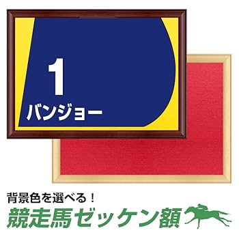 Amazon.co.jp: 競走馬 ゼッケン額 ブラウン 額縁 競馬 ゼッケン