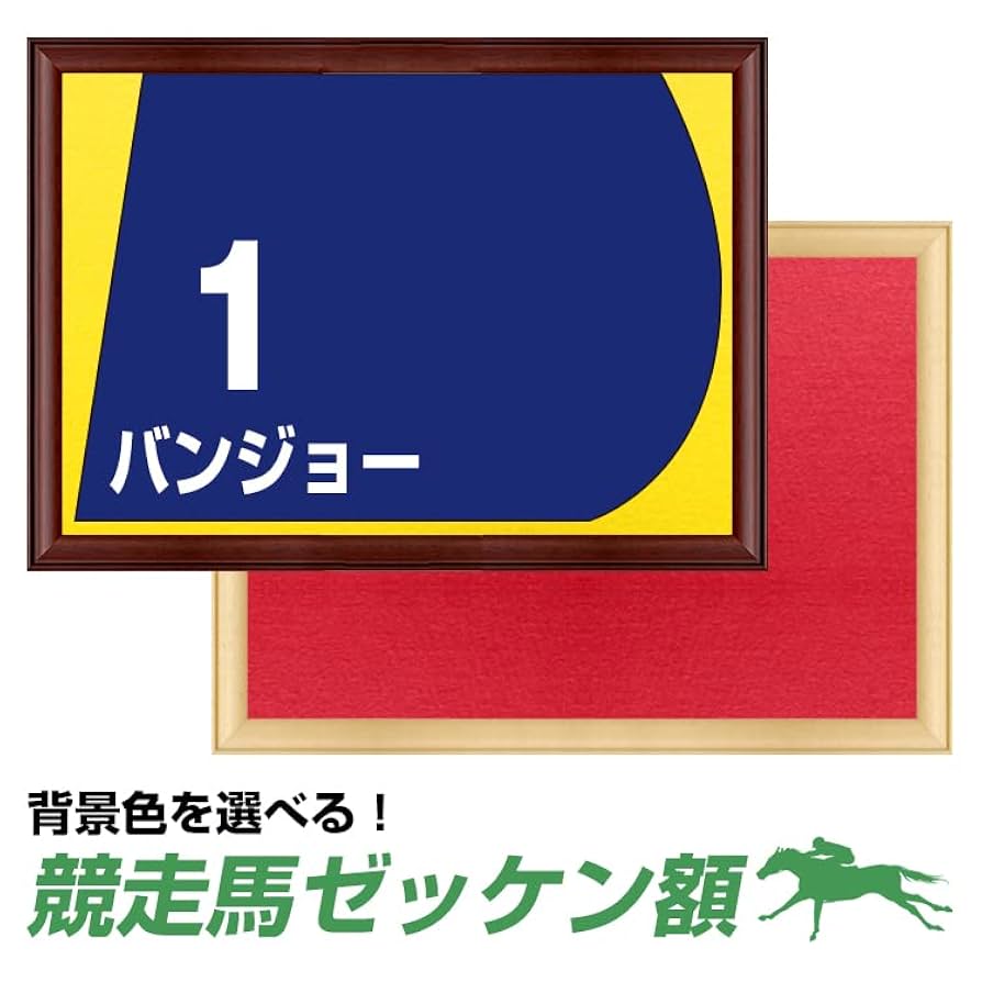 JRA 競走馬 ピンバッジセット 専用ケース(額縁入り) Amazon.co.jp: 競走馬 ゼッケン額 ブラウン 額縁 競馬 ゼッケン
