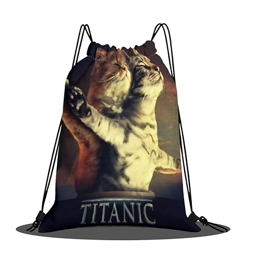 [Wnicek] ̑ y v[obO l gLbg vg ɗD iCobO  AEghAX|[c 