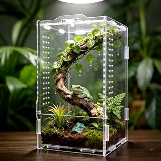 GTSEEMUU mini terrarium acrylique 12 x 11 x 20 cm pour phasme