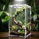 Paludarium Gtseemuu Faunarium – Insektenterrarium aus Acryl für Kleintiere