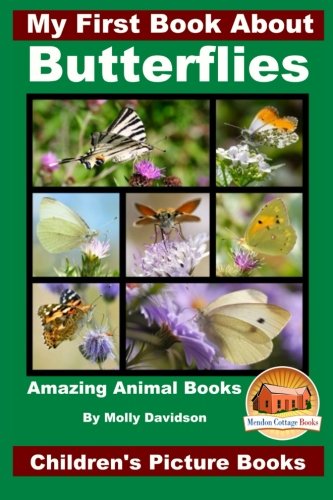 15 Nonfiction Books About Butterflies for Preschoolers