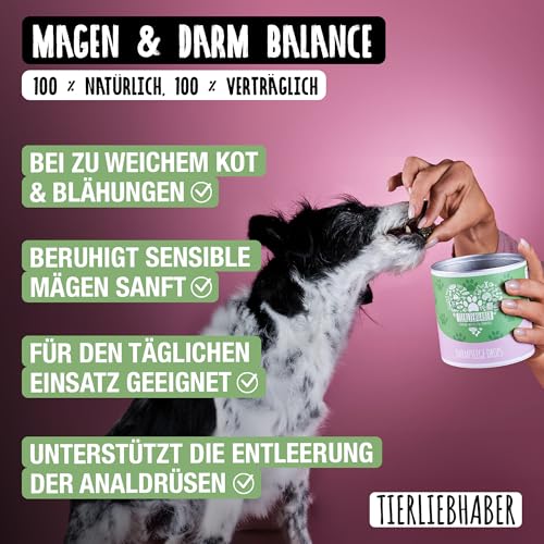 TIERLIEBHABER Darmpflege Drops – 350g (115 Stück) – Darmkur für Hund Darmflora aufbauen – Hundeleckerlies zum Magenschutz für Hunde – Hunderunde Futtertopping Hunde Leckerli – Darmsanierung Hund