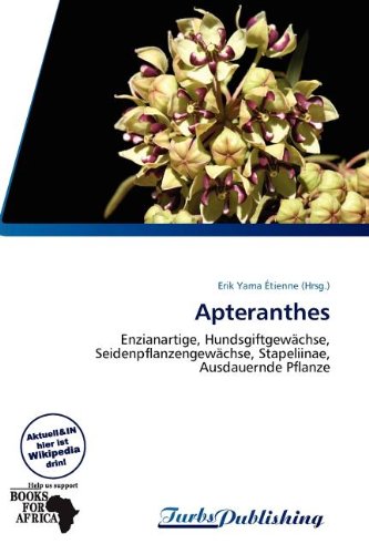 Apteranthes: Enzianartige, Hundsgiftgewächse, Seidenpflanzengewächse, Stapeliinae, Ausdauernde Pflanze