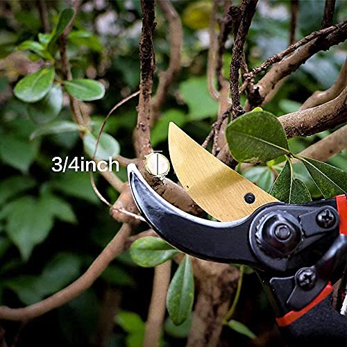 Image of Boniry 8 Inch Heavy Duty Plant Cutter For Home Garden Scissors | Plant Branch Cutter For Tree | Garden Tools For Home Gardening Scissors | Prunning Branch Cutter (Garden Cutter)