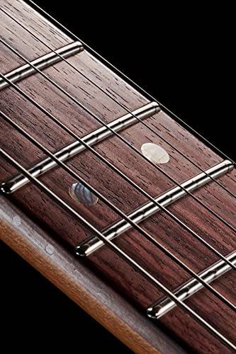 M Musi Capricorn Fusion Solid Body Electric Guitar, Rounded End Stainless Steel Frets, Rosewood Fingerboard, Roasted Maple Neck, Alder Body, For Rock/Blues/Jazz #TOP4