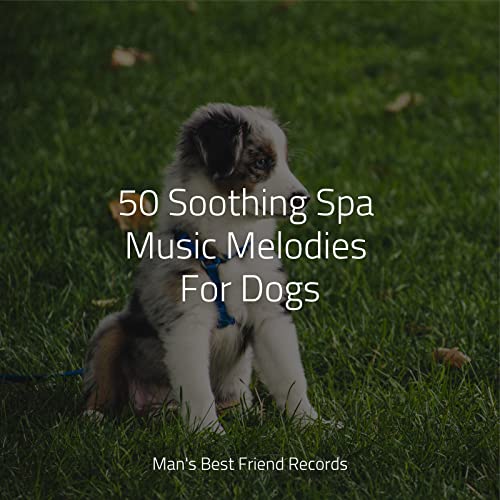 Play 50 Soothing Spa Music Melodies For Dogs by Dog Music Club, Calming