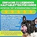 WEALLIN Probiotika für Hunde, Präbiotika für die Darmgesundheit – Unterstützt die Verdauungsgesundheit und die Nährstoffaufnahme – 200 Weiche Kaudrops zur Unterstützung der Hautgesundheit