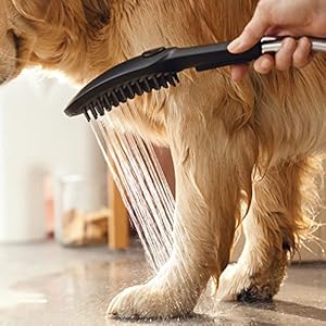   hansgrohe-Outdoor-Pet-Shower-with-Quick-Connect-3-Spray-Fur-Spray-Leg-Spray-Paw-Spray-in-Black-04973670