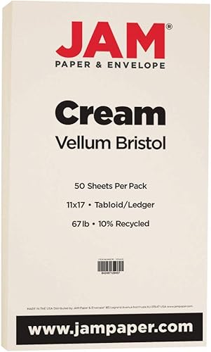 Miniatura 10 de JAM Paper Vellum Bristol Cartulina - 8.5" x 11" - 67 lb Verde - 50 unidades