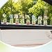 Zkptops Set of 8 Cute Shells Conch Flower Car Accessories for Women Girls Interior Aesthetic Car Dashboard Decorations Funny Mini Flowers in Glass Vase Kawaii Rearview Mirror Ornament for Gifts