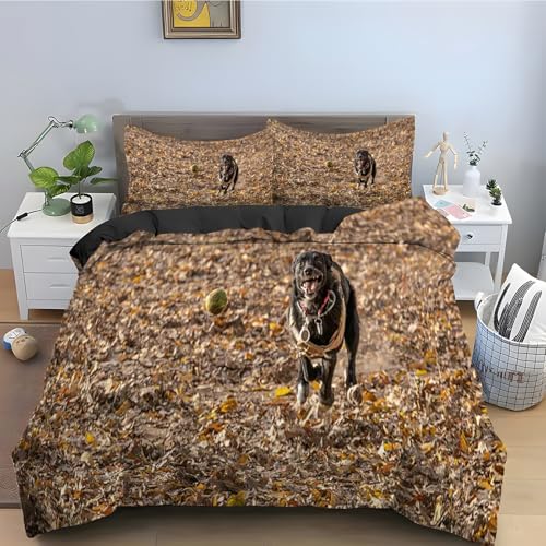 Housse couette en microfibre douce Labrador parure de lit 90x190 noir avec zip