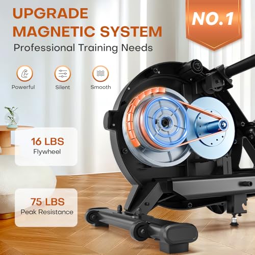Rowing Machine, DMASUN Upgrade Magnetic Rowing Machines for Home Gym with 16 Levels Quiet Resistance - 350LB Capacity Rower Machine with App Compatible & Comfortable Seat - Image 4