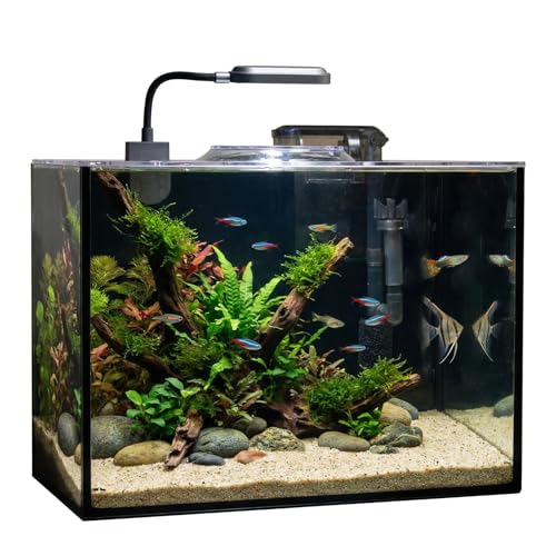 Rise Torrent 2.8 Gallon Glass Tank