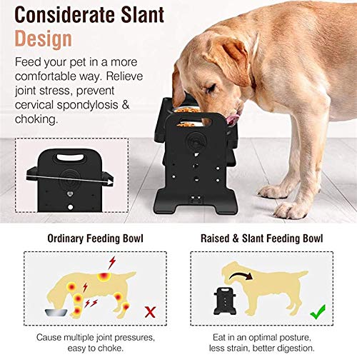 RTHGTFGW Comedero Perro Estante de alimentación de Mascotas de Doble tazón de Doble tazón de Doble tazón, tazón de Perro Elevado, Lavado de Perros, Doble tazón de Agua extraíble de Agua y Comida