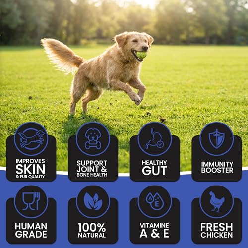 Image of Dr.Pets Gluten & Preservative Free Dog Wet Food (Gravy) | Balanced Meal with High Protein Chicken & Liver Chunks for Adult Dogs & Puppies | No Added Sugar & Paraben | 85 g (Pack of 12)
