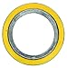 Spiral Wound Metal Gasket, 2 in, 316SS