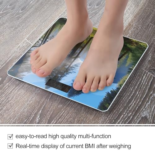 Báscula digital de baño JTREHY con pantalla LCD miniatura 5