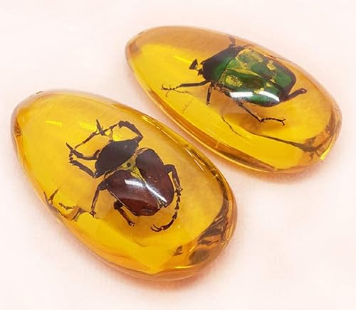 Miniatura 2 de 5pcs ámbar fósil con insectos muestras piedras muestras de cristal decoración del hogar colección oval colgante (patrón aleatorio)