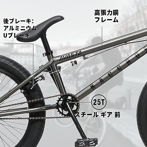 AVASTA Bacchus フリースタイルBMX 20インチ