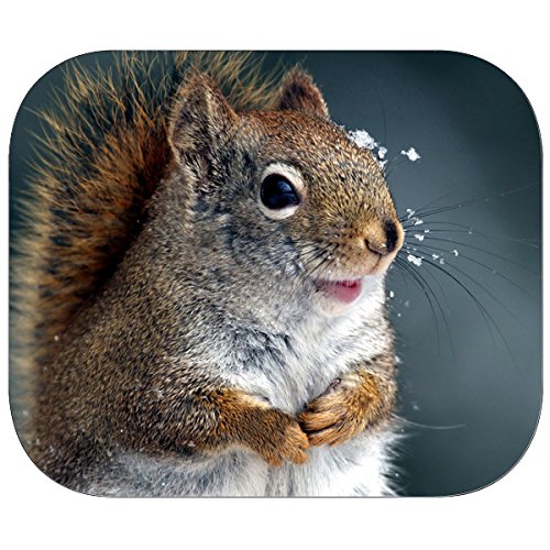 Squirrel Mouse Pad (SQ-01) (Mouse Pad-09)
