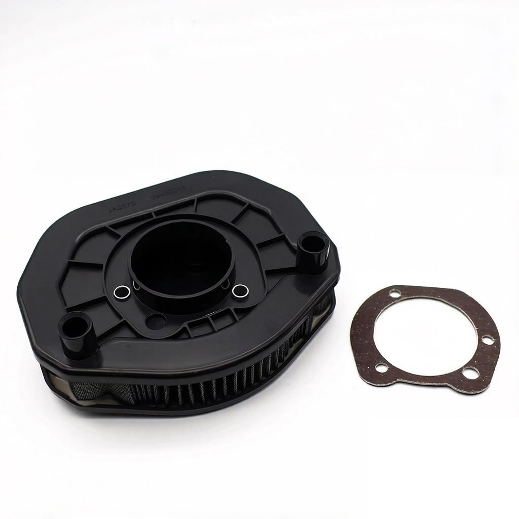 filtr wlotu powietrza motocykl Środek do czyszczenia motocykli filtr powietrza Airpower firmy BMC FAF01066 pasuje do Davidson Sportster 750 1200L 883 N Iron 2014-2020
