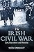 The Irish Civil War: Law, Execution and Atrocity