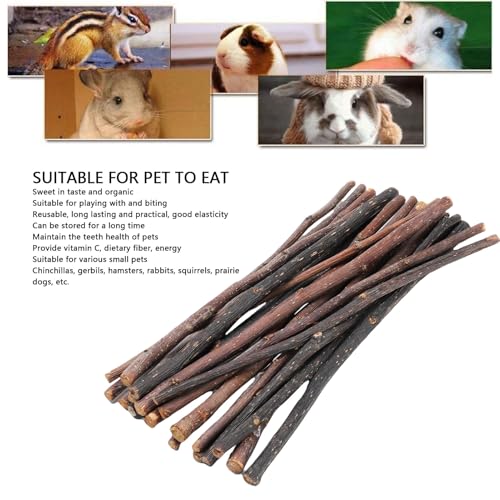 Sunisfa 20pcs Bastes Guloseimas Molares Coelhos de Coelho Hamster Gerbil Squirrel Comida Lanche Mate