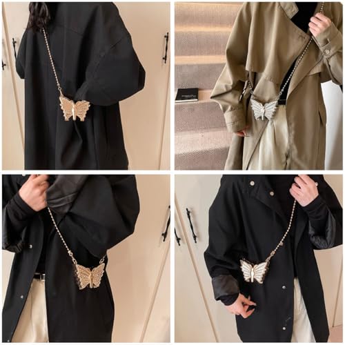 Acrylic Single Shoulder Crossbody Lipsticks Bag With Butterfly Shape Small Eevening Purse Satchel For Stylish Women3