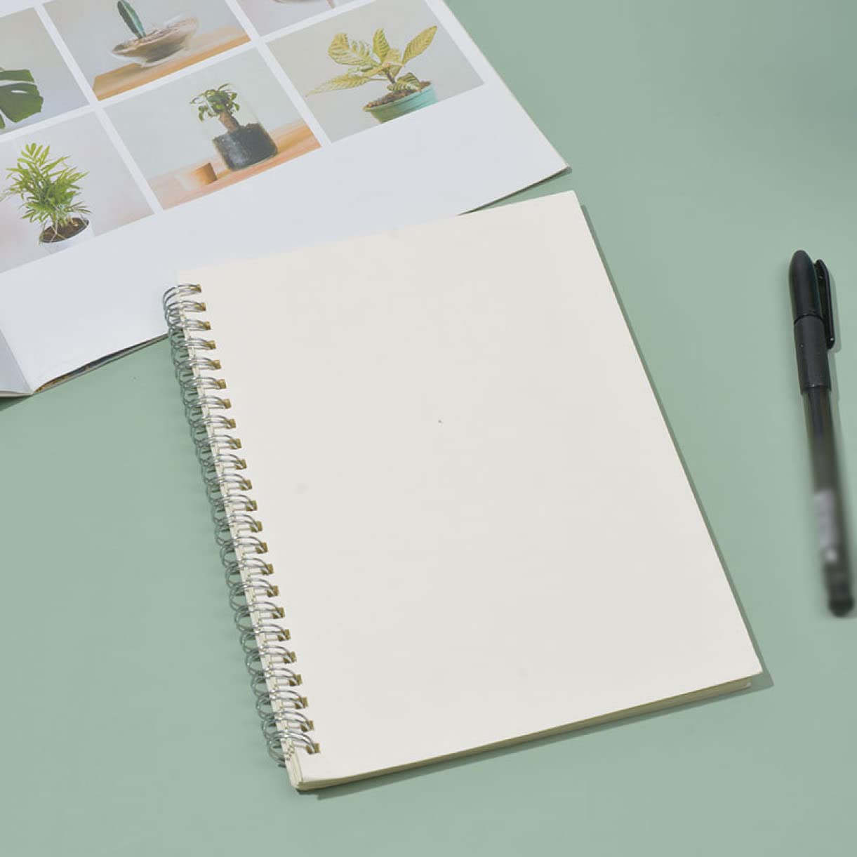 Amazon | QQZSG リングノート a5 リングノート a5 50枚 横罫線入り 100