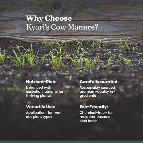 Image of Kyari Cow Dung Manure 10kg for Plants - Organic Gobar Khad Fertilizer