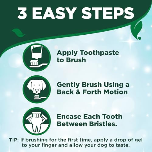 Vet’s Best Dog Toothpaste, Teeth Cleaning and Fresh Breath Dental Care Gel Kit - Image 5