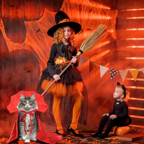 Disfraz Vampiro para Perros y Gatos Halloween Capa miniatura 7