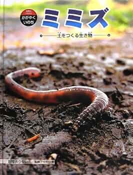 ミミズの生活を調べよう (やさしい科学 4) ミミズの生活を調べよう (やさしい科学 4)