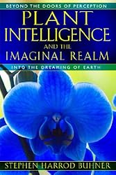 Plant Intelligence and the Imaginal Realm: Beyond the Doors of