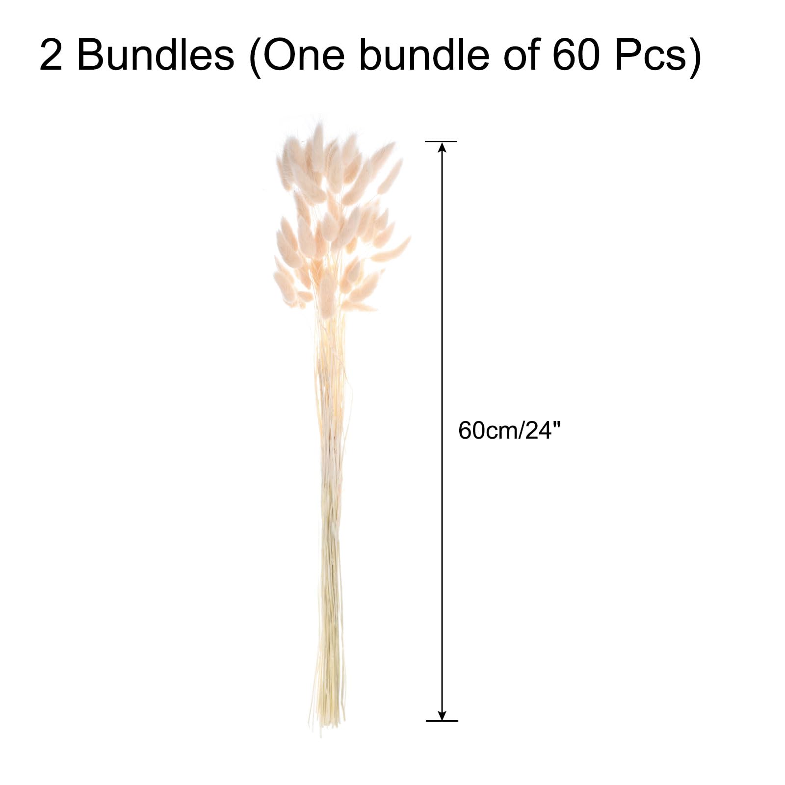 QUARKZMAN 120Pcs Queue de Lapin Naturelle Fleurs Séchées 60cm Rose Clair | Mini Herbe de Pampa Lagurus Ovatus, Bouquet pour Décoration Florale Mariage Noël