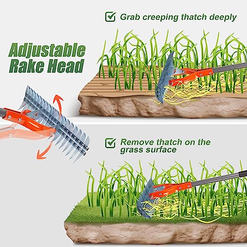 Image of Walensee 15-Inch Thatch Rake for Lawn, 19-Tine Dethatcher, 70-Inch Handle