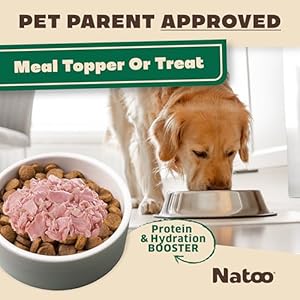 Natoo canine meals topper for choosy eaters  canine deal with salmon  brown rice canine toppers for dry meals moist meal toppers for canines  puppies restricted ingredient canine meals 3 oz case of 20   cucciolini doodles