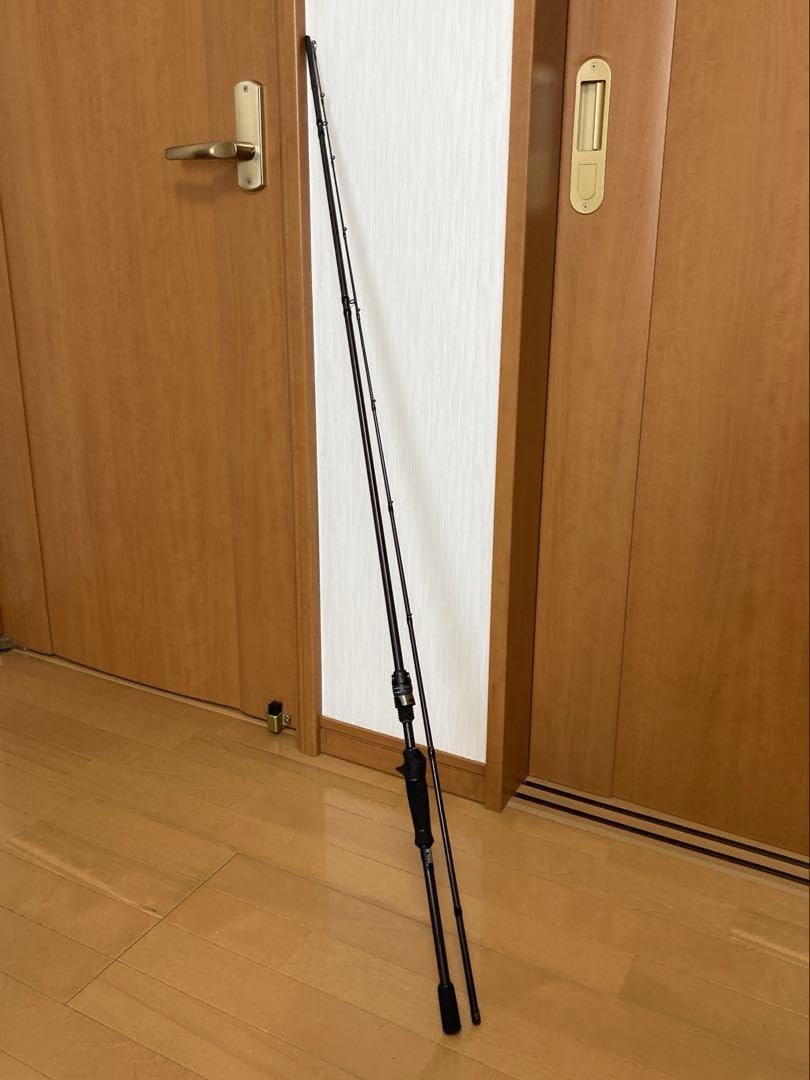 Amazon.co.jp: ソルティーステージ プロトタイプ ベイトフィネス