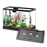 Aqueon 10 Gallon Aquarium Starter Kit with SmartClean Filtration and LED Lighting for Tropical Freshwater Fish