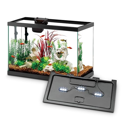 Aqueon Aquarium Starter Kit with Smart Clean Filtration and LED Lighting, Freshwater and Saltwater Fish, Perfect for Tetras, Guppies, Platies, 10-Gallon