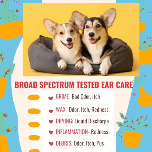 Dog Ear Cleaner Infection for Yeast with Turmeric. Natural Ear Therapy eliminates Painful Ear infections, Odor, Wax, and Stops Chronic Ear Itch. Dog Ear Cleaner Infection for Yeast with Turmeric. Natural Ear Therapy eliminates Painful Ear infections, Odor, Wax, and Stops Chronic Ear Itch.
