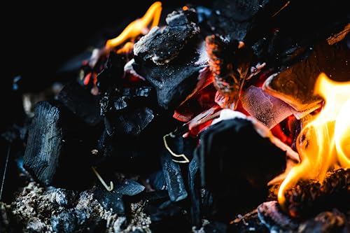 Image of Eco-Friendly Natural Wood Charcoal Cooking Coal for Smoking Food Barbeque-Grilling-Cooking-Broiling-Long Burning Coal for Home,Kitchen & Garden (1kg)