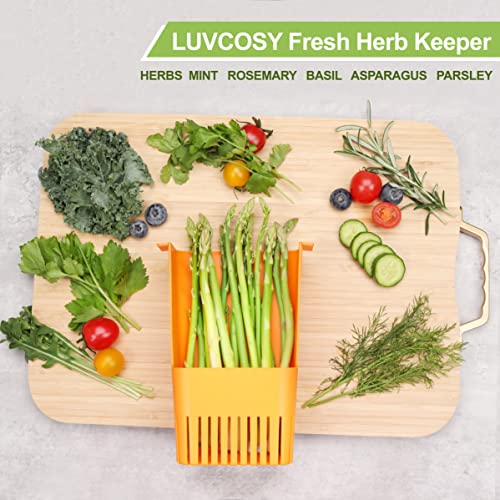 Image of LUVCOSY Fresh Herb Keeper for Refrigerator, Clear BPA-Free Herb Saver, Storage Container for Cilantro, Parsley, Thyme, Mint & Asparagus, Preserver Keeps Fresh Herbs for 3 Times Longer, Orange