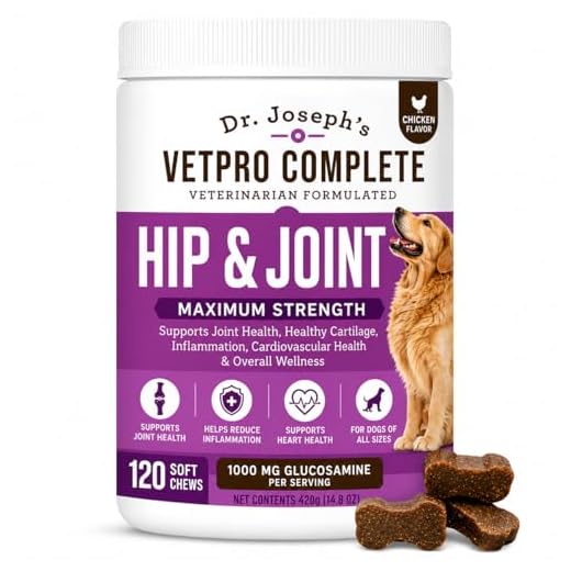 VetPro Dog Hip and Joint Supplement - Pain and Inflammation Relief Chews with Glucosamine, Chondroitin, MSM, Turmeric, Vitamin C, Omega 3 - Treats Hip Dysplasia, Arthritis - Dogs Chewable Supplements
